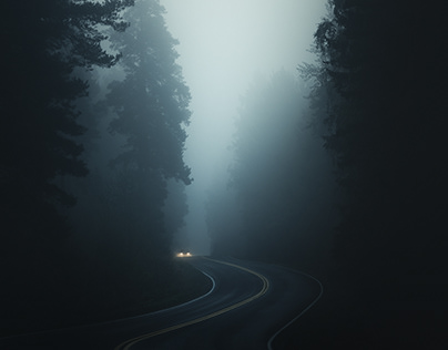 Трамп приостановил военную поддержку Украине после конфликта с Зеленским