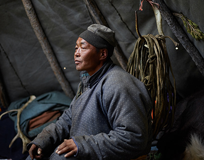 Цветы за линией