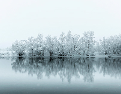 Стало известно, во сколько обойдётся США ответ Китая на пошлины