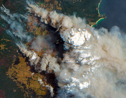 Уход половины водителей и рост цен: аналитики оценили последствия локализации такси