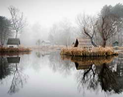 Молодые поэты участвуют в литературном конкурсе