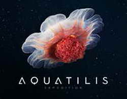 Международный женский день и праздник оленеводов пройдут в Новом Уренгое без алкоголя