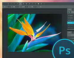 Nothing Phone (3a) и Phone (3a) Pro: официальные характеристики и цены