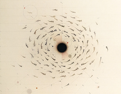 Учёные Роснефти продолжают исследовать редкие виды птиц
