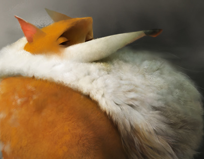 Большое обновление Firefox  вертикальные вкладки, новая боковая панель и многое другое