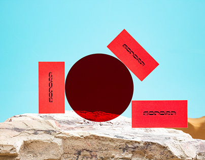 Вместо Соколова зампредом правительства станет Стрелюхин