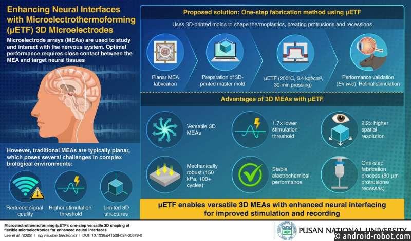 Разработана одношаговая технология 3D-микроэлектродов для нейронных интерфейсов